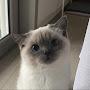 @Роблокстоп-п8щ