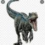 @velociraptorblue729