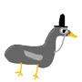 @duck2go597