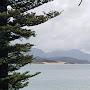 @otearoa