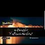 @omerfahim8210
