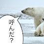 @俺シロクマ