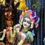 @rajeshthakurdj2125