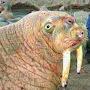 @fractalwalrus5409