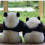 @key-mofu5275