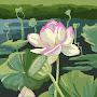 @mdmehadihasan8980