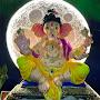 @humsafar2829