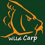 @Wild_Carp