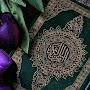 @M.Nadeem14