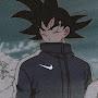 @Gokuzin123