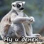 @kvenika9329