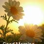 @riturao2166