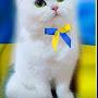 @levmor.1858