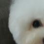@김가율-w4m