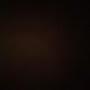 @hasfin2878