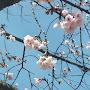 @西-ku