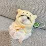 @또띠-n9i