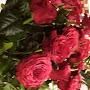 @sofyax.o.4893