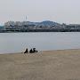@코어프로틴-o8p