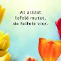 @Elizabeth-ru5em
