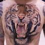@tonypage1878