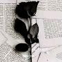 @نوارةنوارة-ه2ن