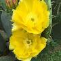 @Happyladybug143