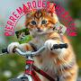 @PierreMarquesogatinho2456