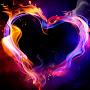 @vighneshveligatla292