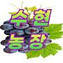 @수현농장백구포도