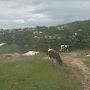 @mgazi-ndabezitha