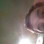 @williamhickey3903