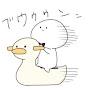 @coco-wt8dr