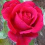 @Souravsweety1234