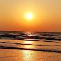 @mdtaslim.7