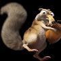 @scratthesquirrel2411
