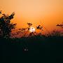 @raunaksingh57