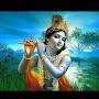 @lilawatikushwaha3345