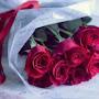 @hasnaemalek3357