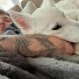 @tobiasburinagaensiojrtobia3863