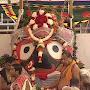 @arundhatisamal338