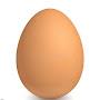 @egg-shortzzzzz
