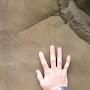 @user-wh1im1lv9p