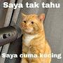 @SayaTakTahuSayaCumaKucing