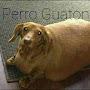 @perrowaton4445