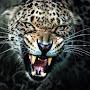 @SuperPeoplevoice