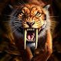 @redshadow1457
