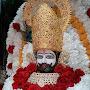 @shree_shyam_shorts0001