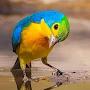 @subhamchowdhury6655