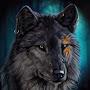 @stevekerr3728